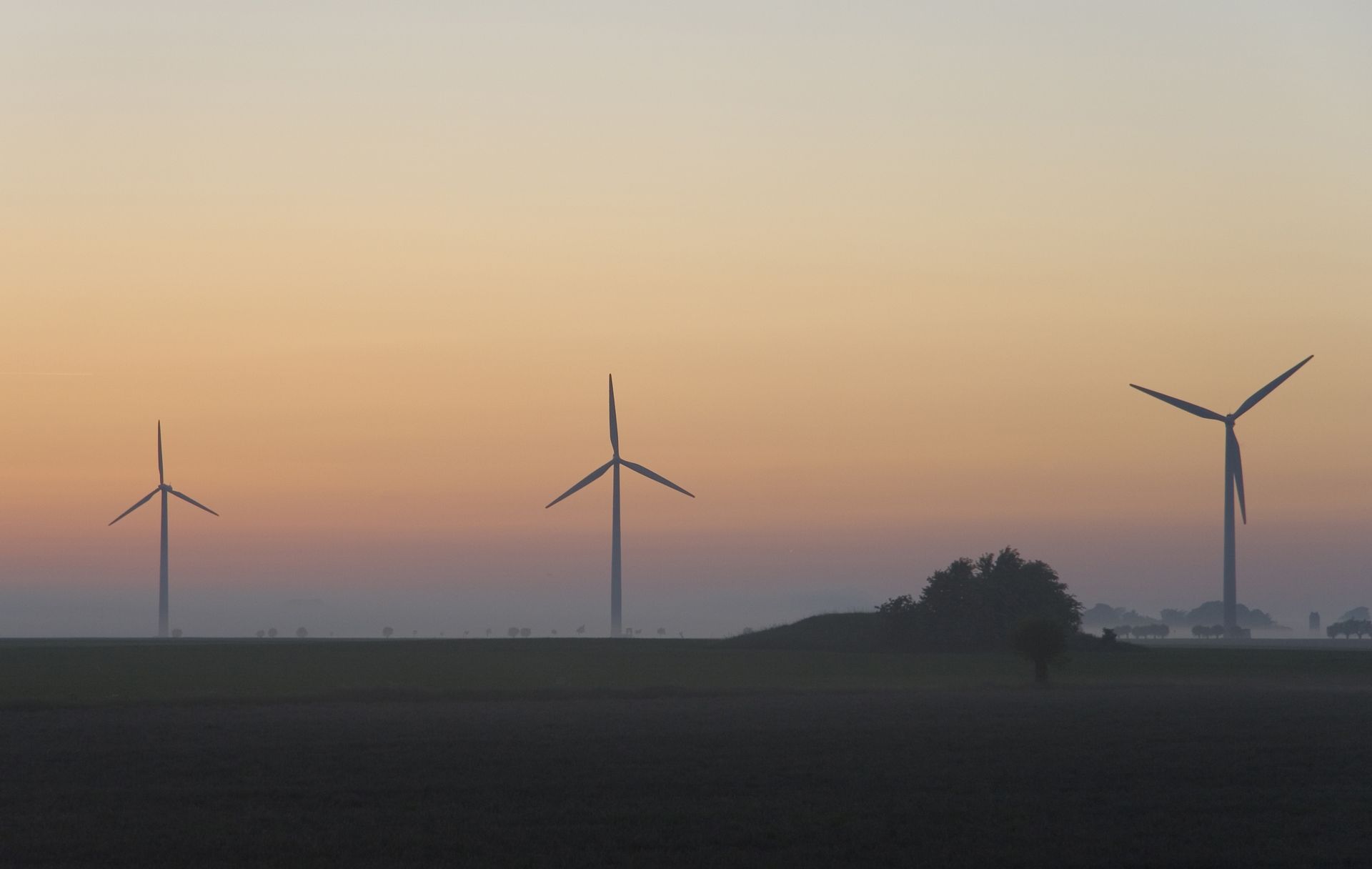 Offshore wind farm at sea
